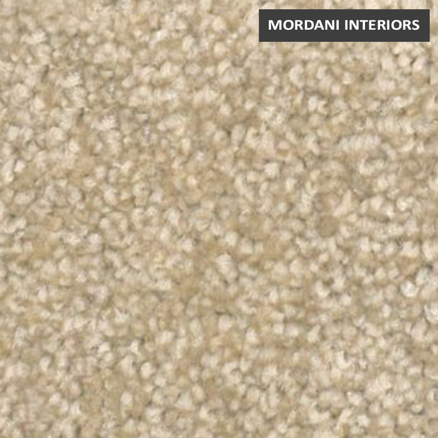 1203 Biscotti Royal Impression  Heritage Wall To Wall Carpet